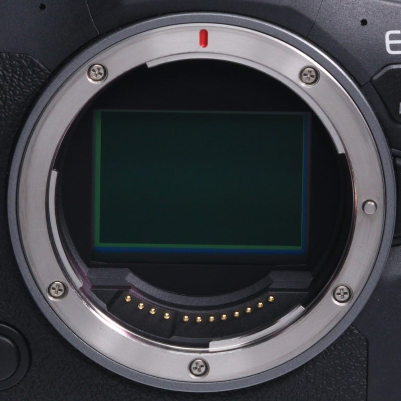 EOS R6 Mark II ボディー