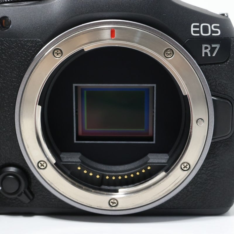EOS R7 ボディー