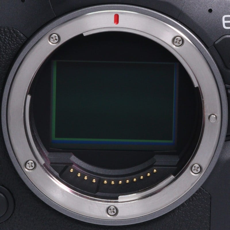 EOS R6 Mark II ボディー