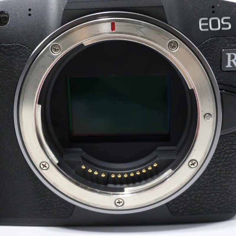 EOS R ボディー