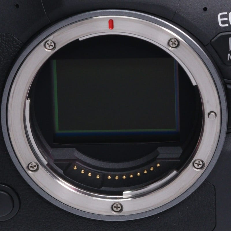EOS R6 Mark II ボディー