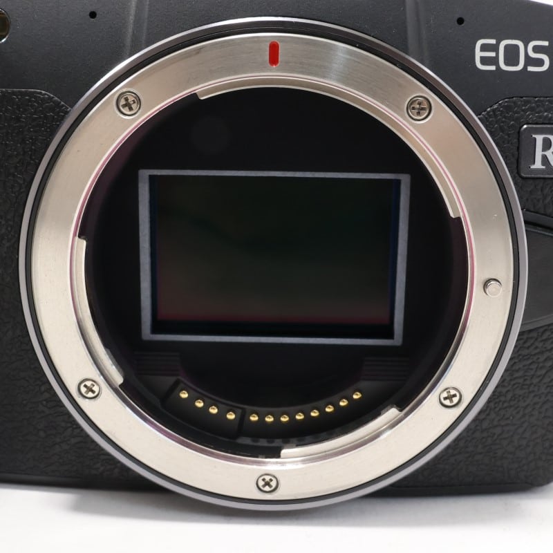 EOS RP ボディー