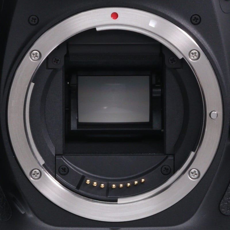 EOS 90D ボディー