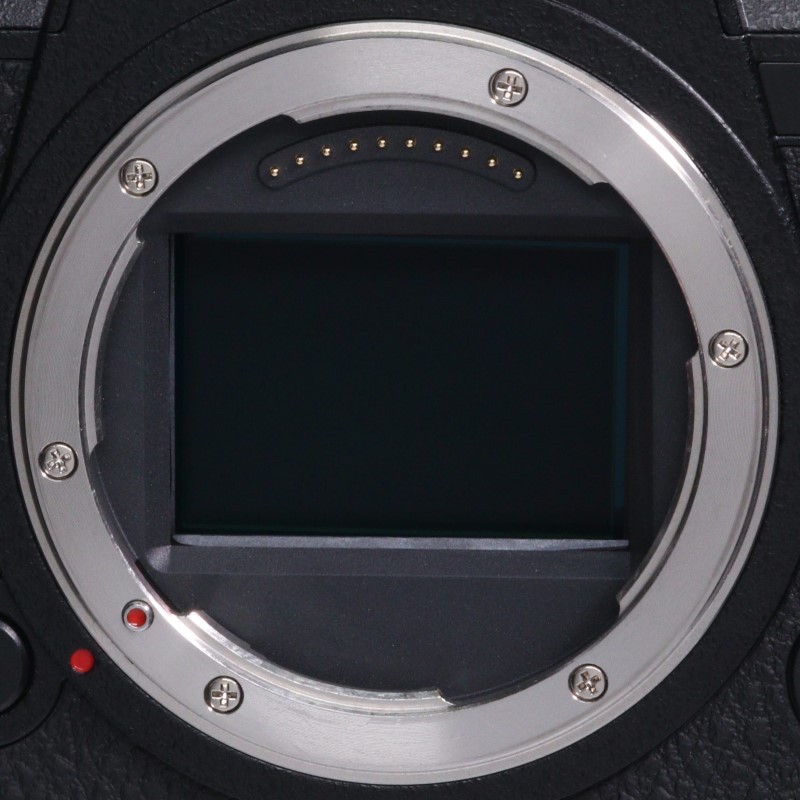 LUMIX DC-S1