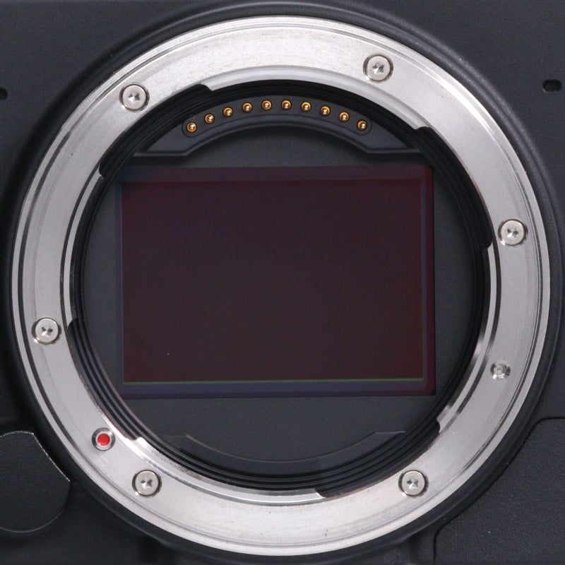 fp L ボディ
