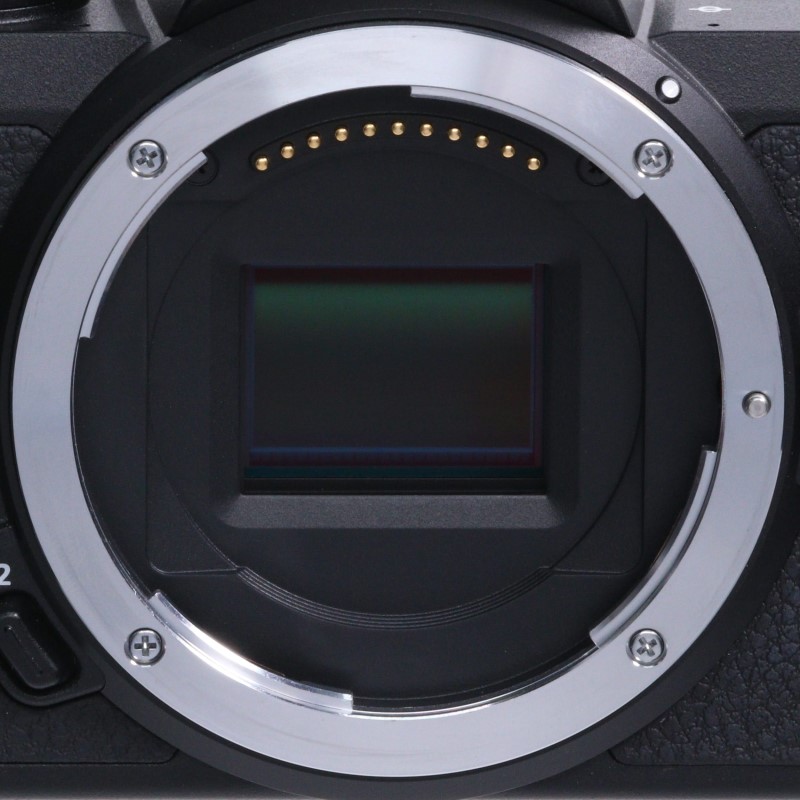 Z50 ボディ