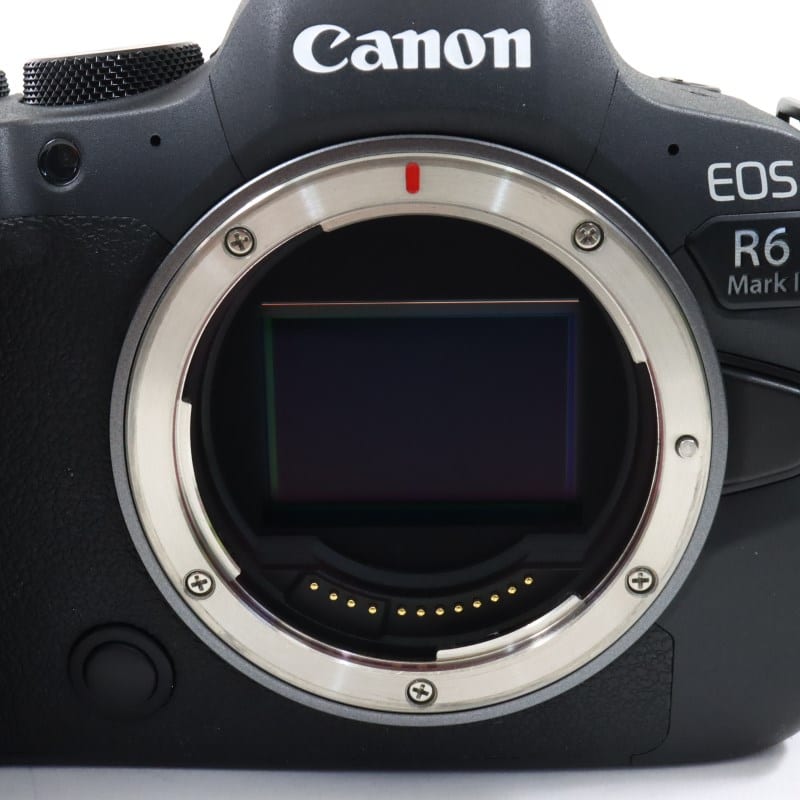 EOS R6 Mark II ボディー