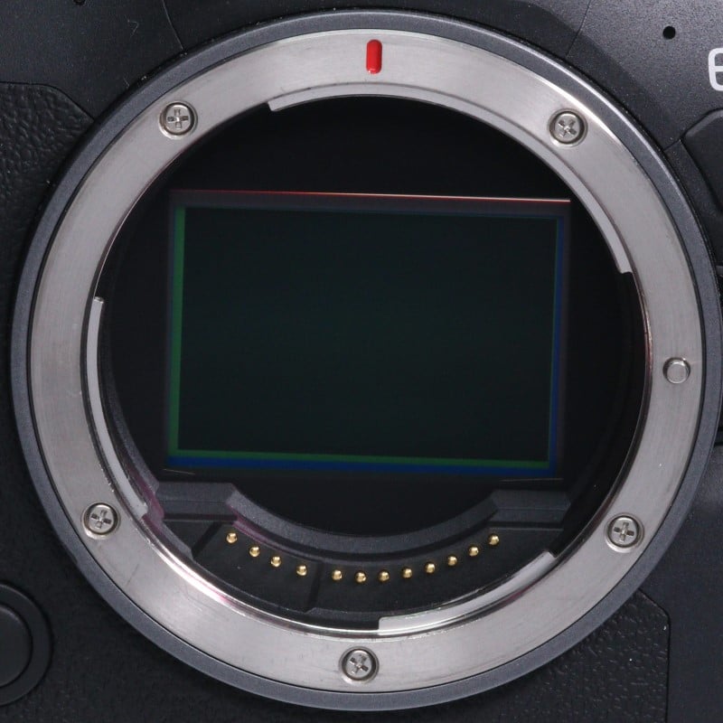 EOS R6 Mark II ボディー