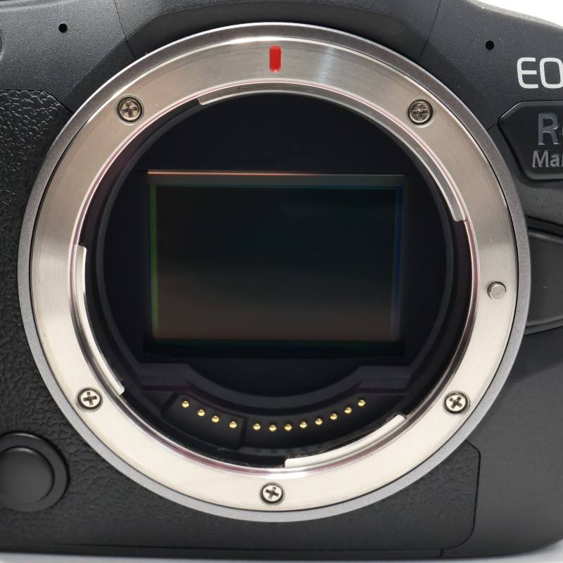 EOS R6 Mark II ボディー