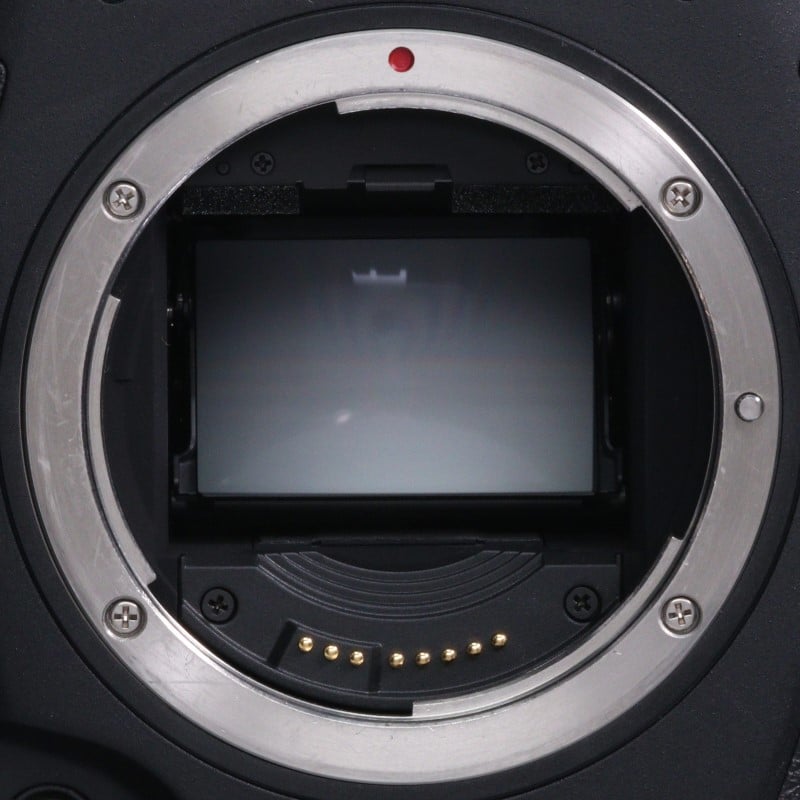 EOS-1D X Mark III ボディー