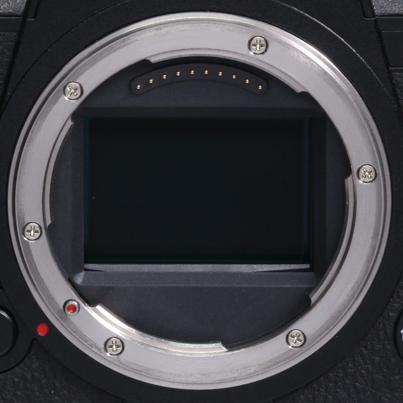 LUMIX DC-S1