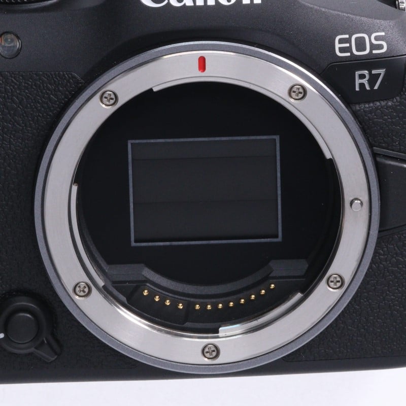 EOS R7 ボディー