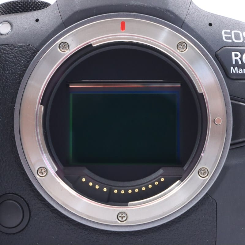 EOS R6 Mark II ボディー