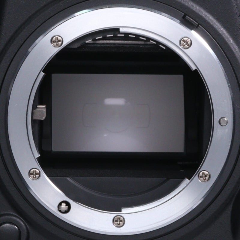 D600 ボディ