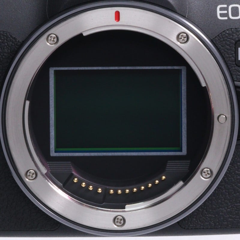 EOS R8 ボディー