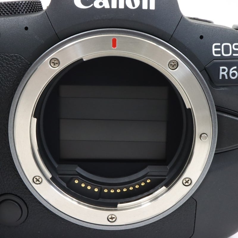 EOS R6 ボディー