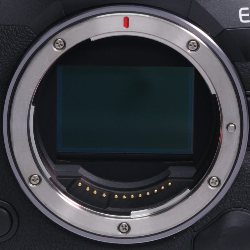 EOS R5 Mark II ボディー
