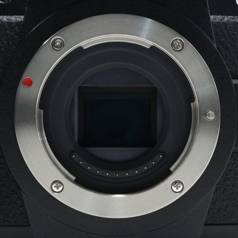 LUMIX DC-G99D