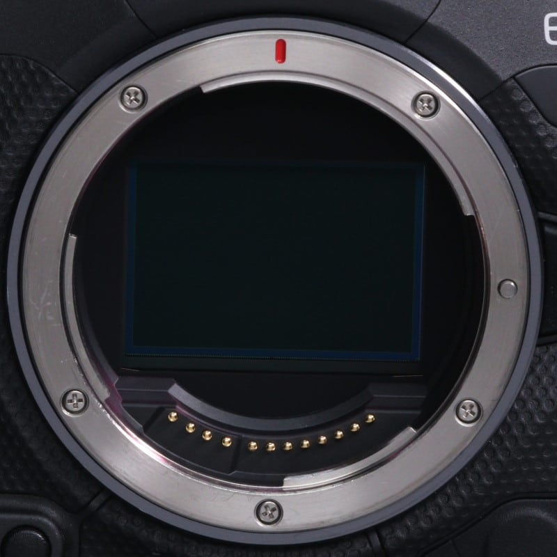 EOS R3 ボディー