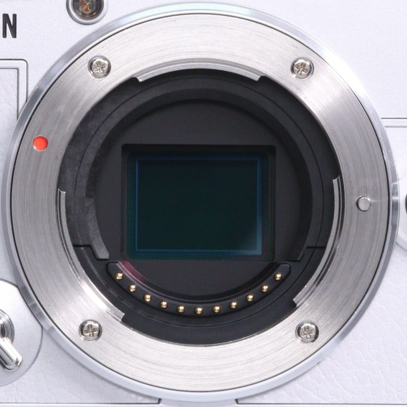 PEN E-P7 ボディー ホワイト