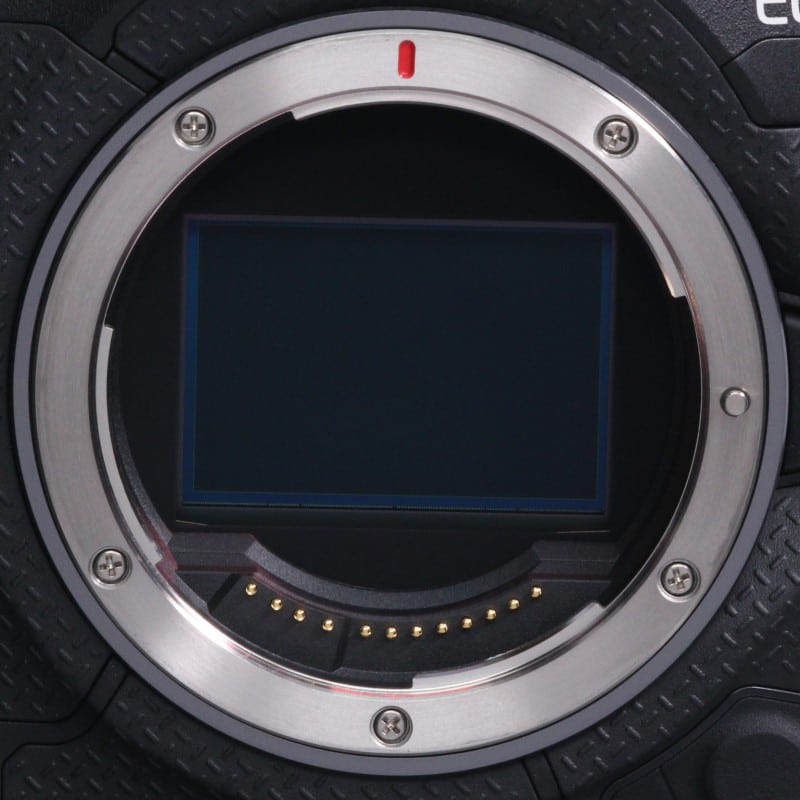 EOS R1 ボディー