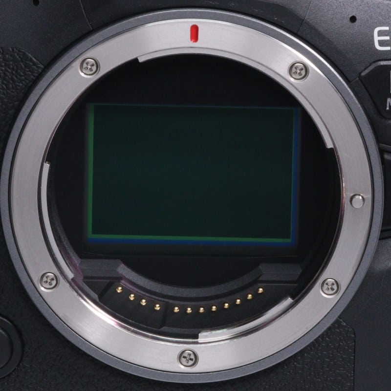 EOS R6 Mark II ボディー