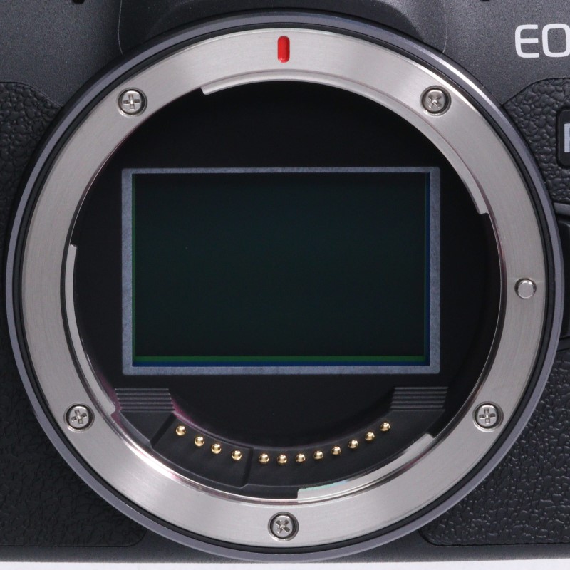 EOS R8