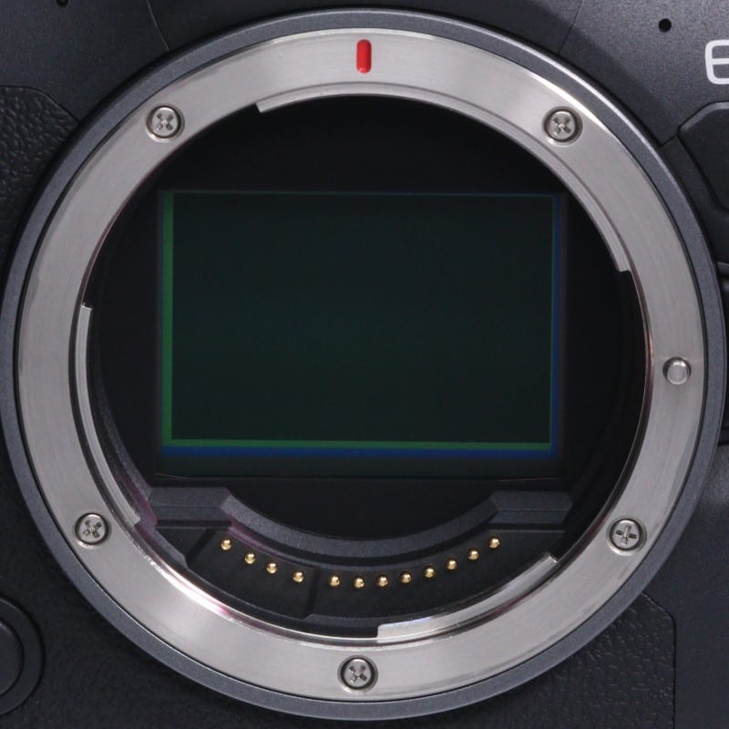 EOS R6 Mark II ボディー