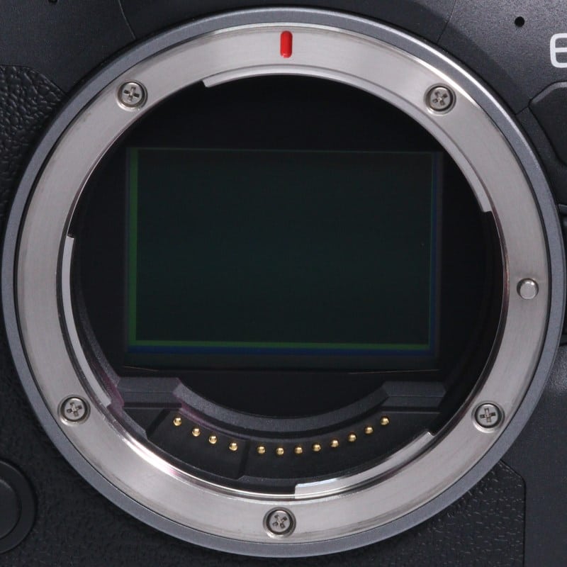 EOS R6 Mark II ボディー