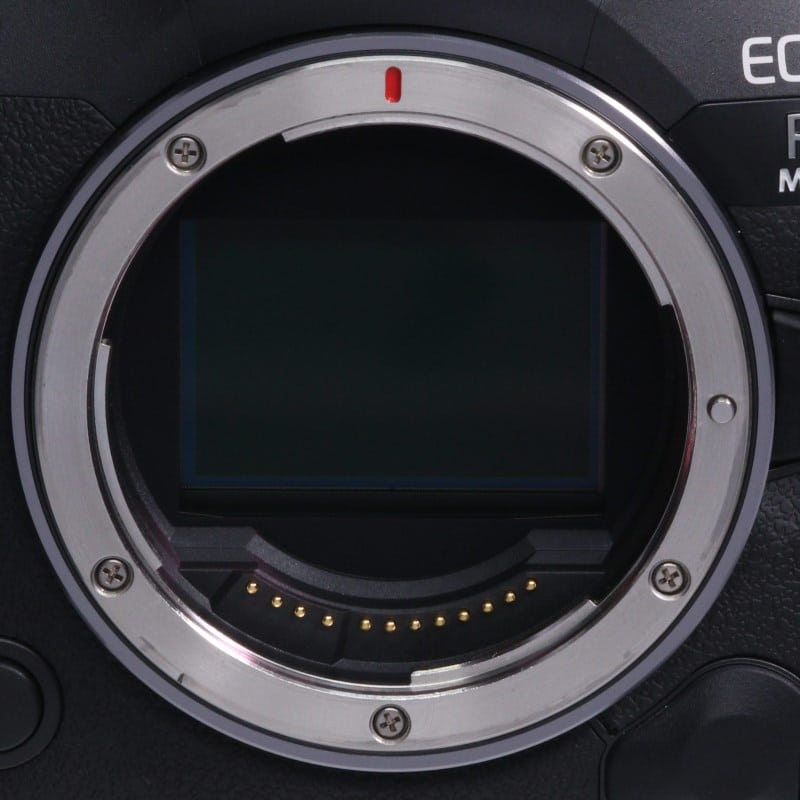 EOS R5 Mark II ボディー