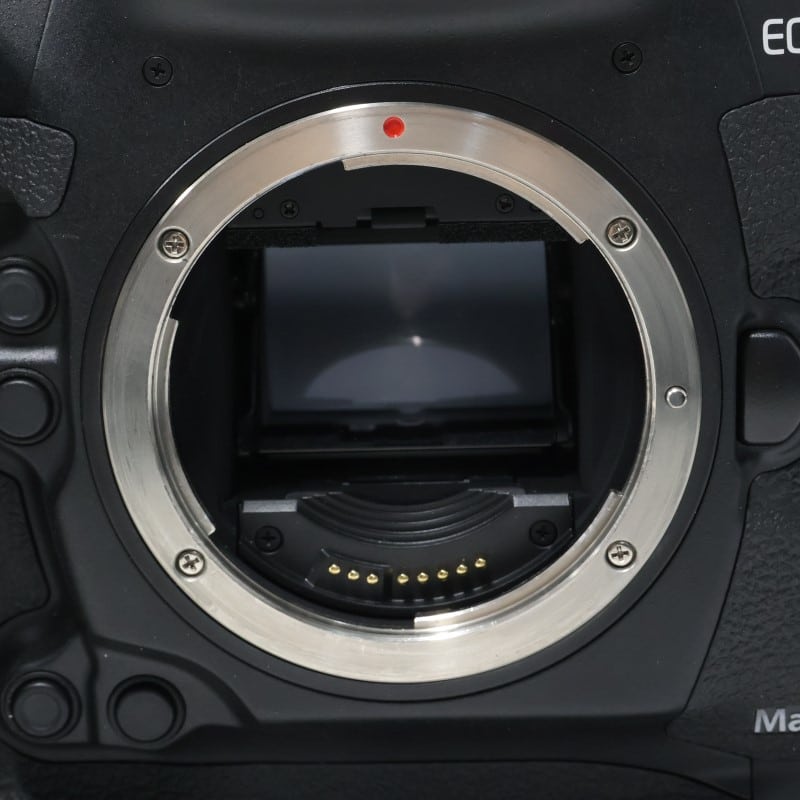 EOS-1D X Mark III ボディー