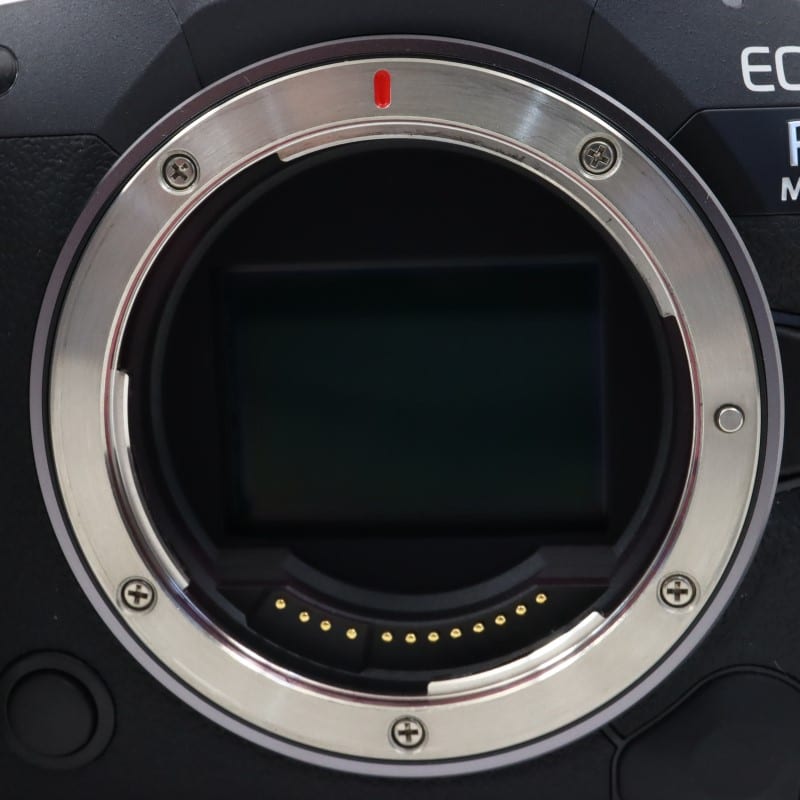 EOS R5 Mark II ボディー