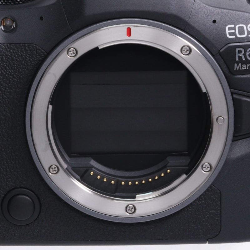 EOS R6 Mark II ボディー