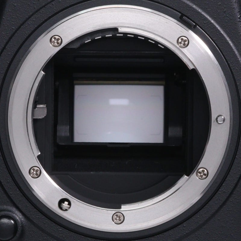 D500 ボディ