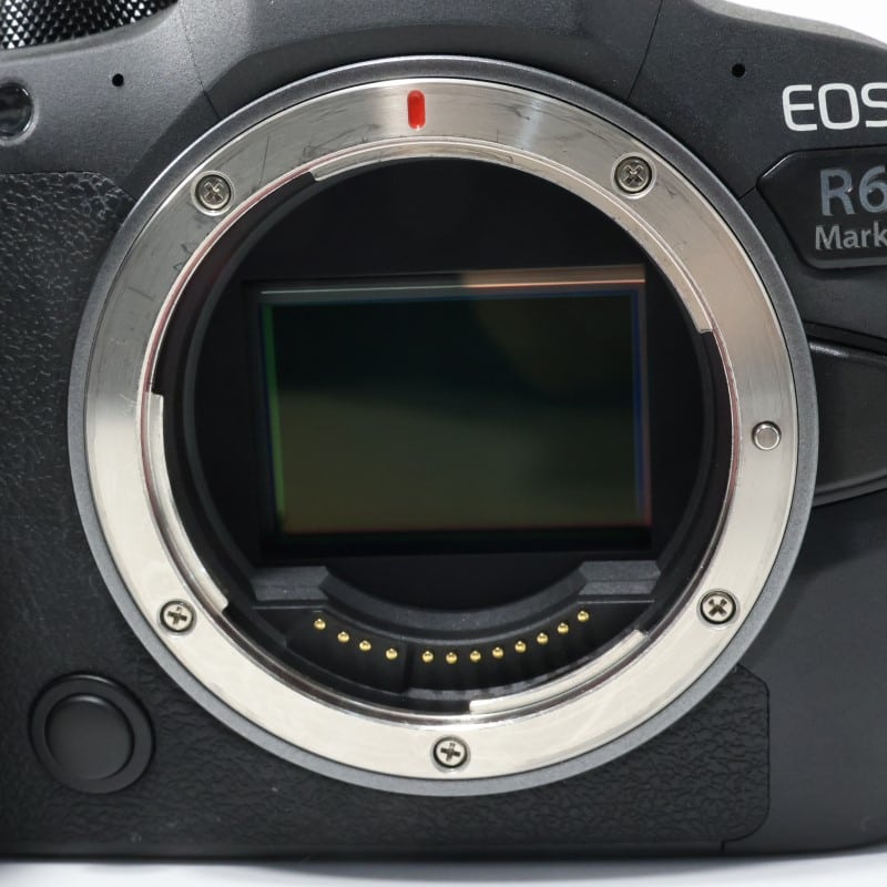 EOS R6 Mark II ボディー