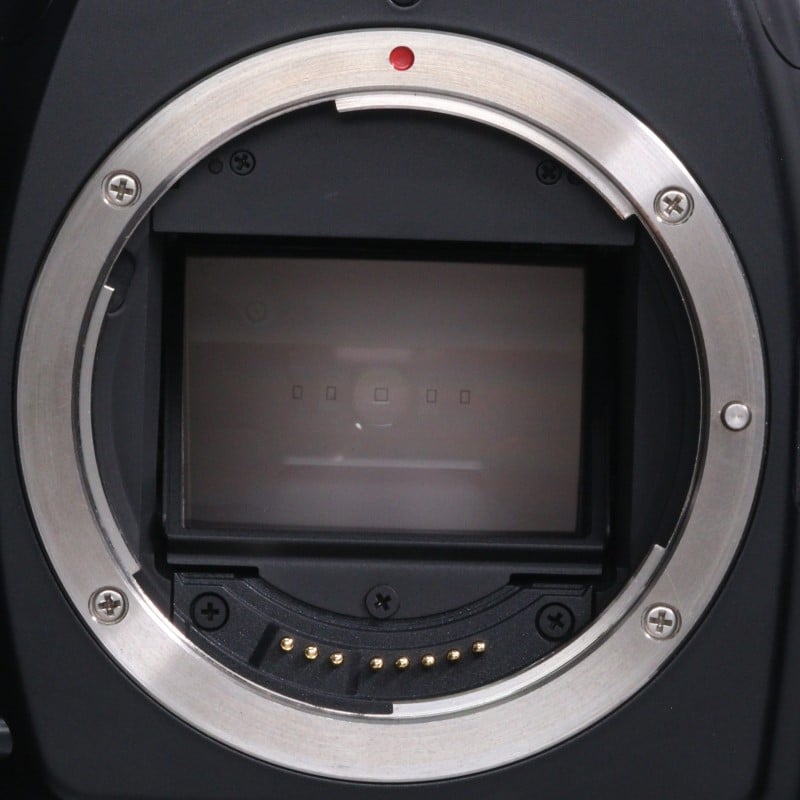 EOS-1N RS