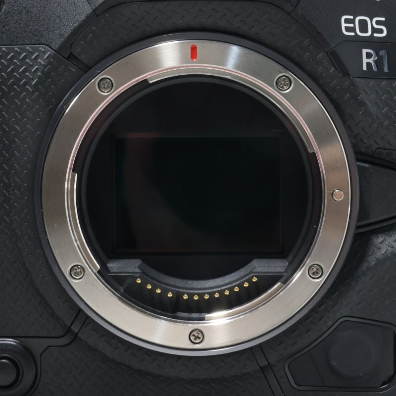 EOS R1 ボディー