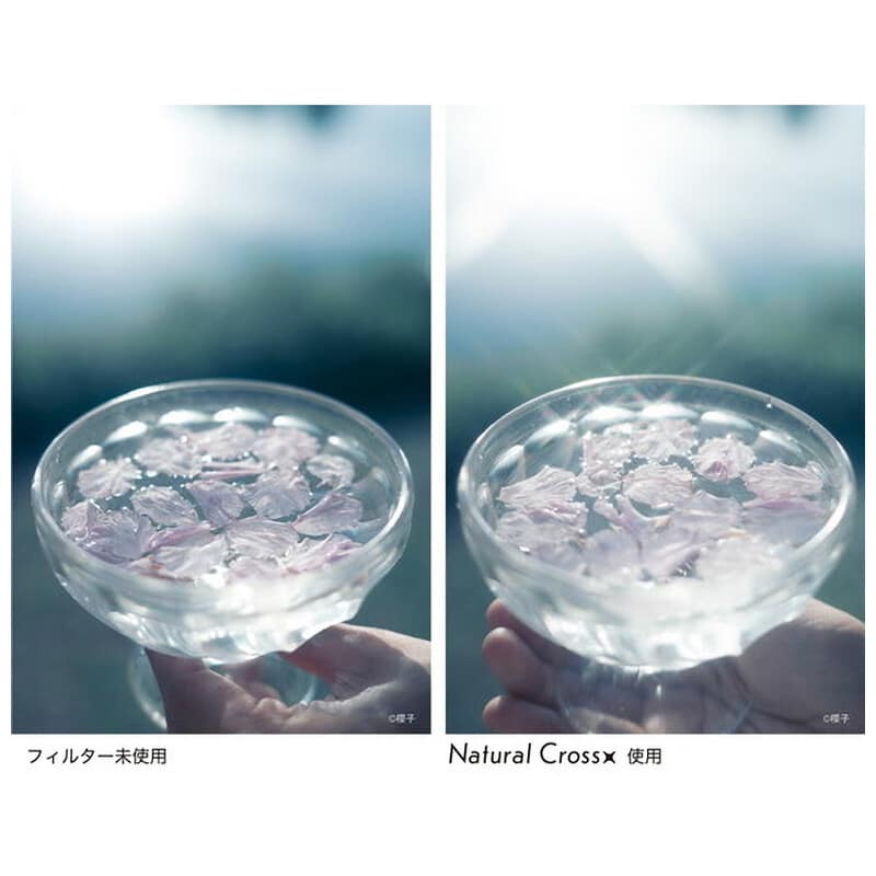 PRO1D R-ナチュラルクロス 49mm(2026年6月19日発売予定)