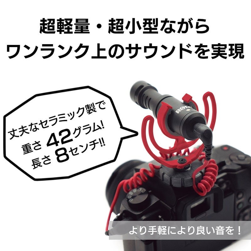 VideoMicro