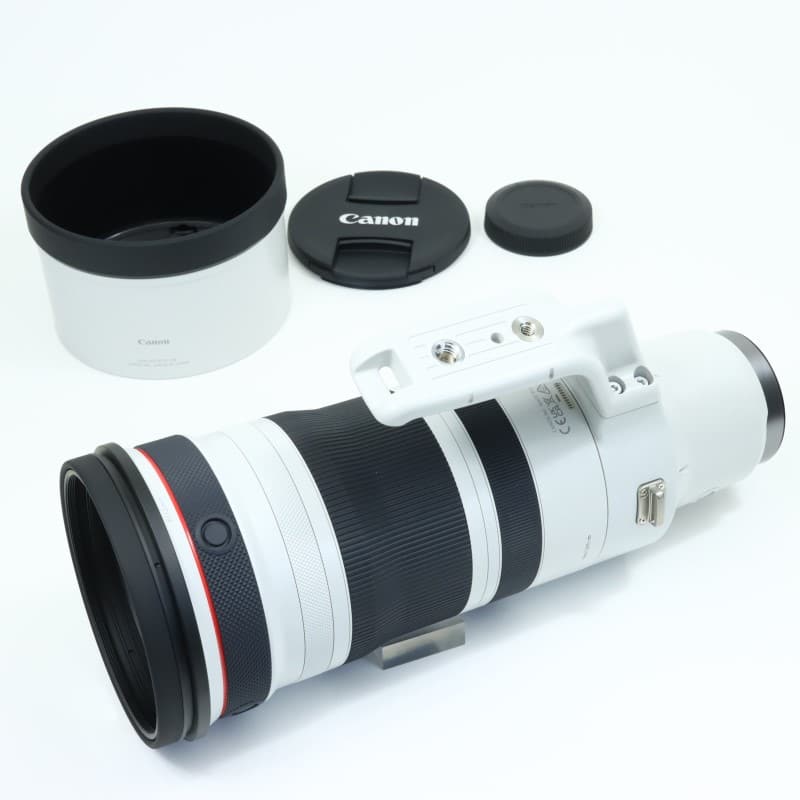 RF100-300mm F2.8 L IS USM