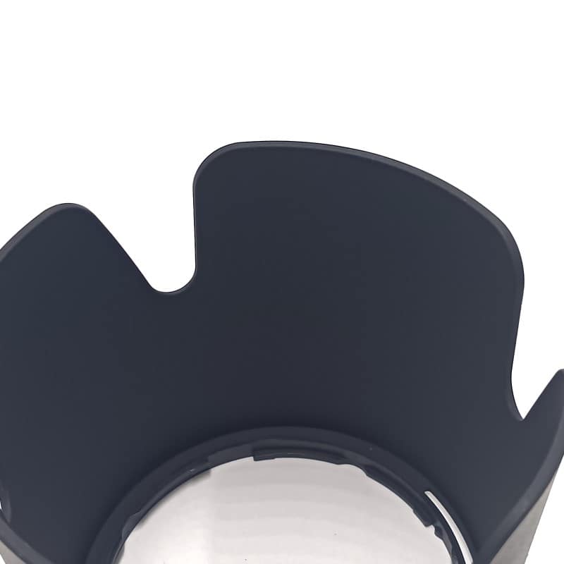 AF-P NIKKOR 70-300mm f/4.5-5.6E ED VR