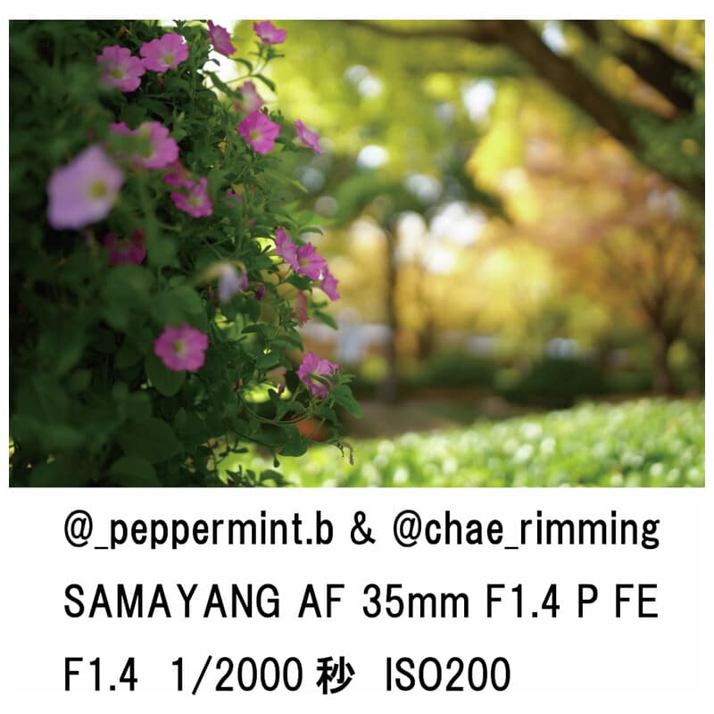 AF 35mm F1.4 P FE ソニーEマウント