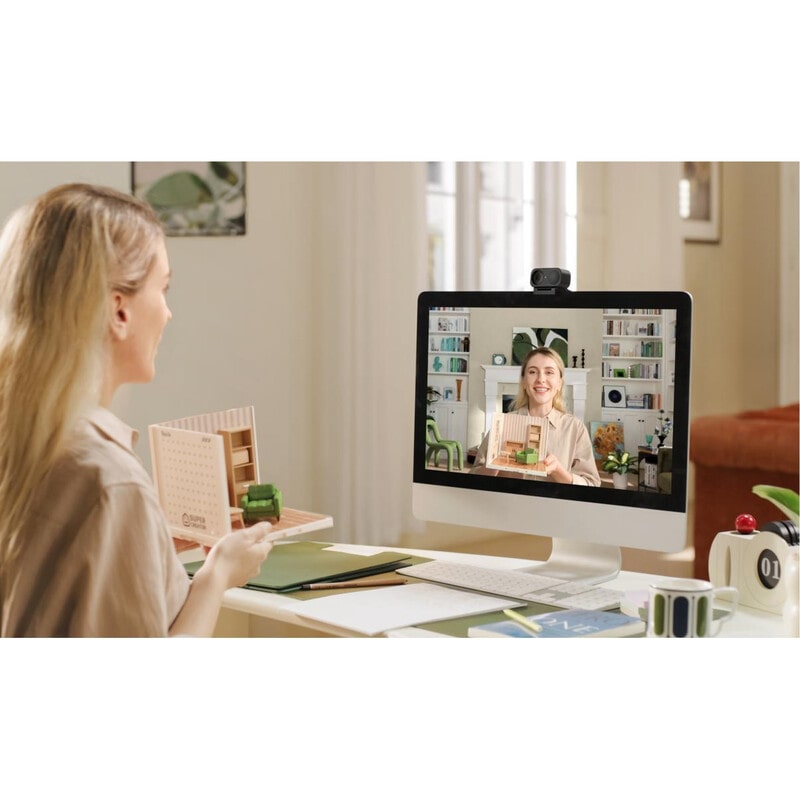 Insta360 Link2 C Standard Edition CINSABNA