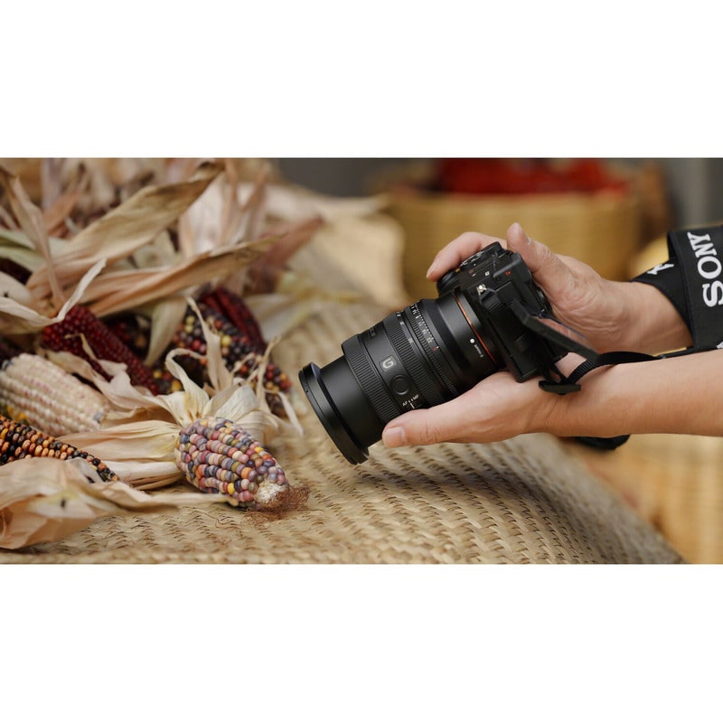 FE 24-50mm F2.8 G SEL2450G