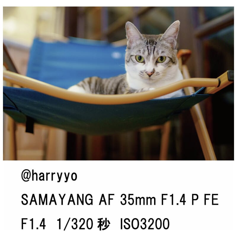 AF 35mm F1.4 P FE ソニーEマウント