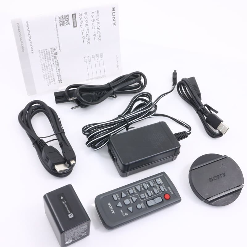 FDR-AX100 FDR-AX100/BC