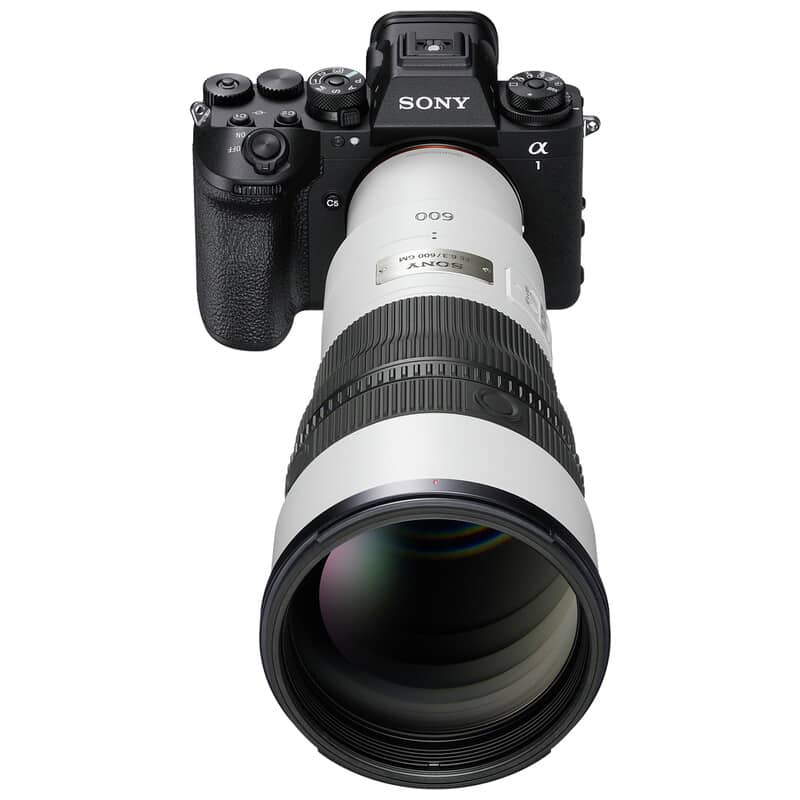 SONY FE 600mm F6.3 GM OSS SEL600F63GM 新品｜フジヤカメラ