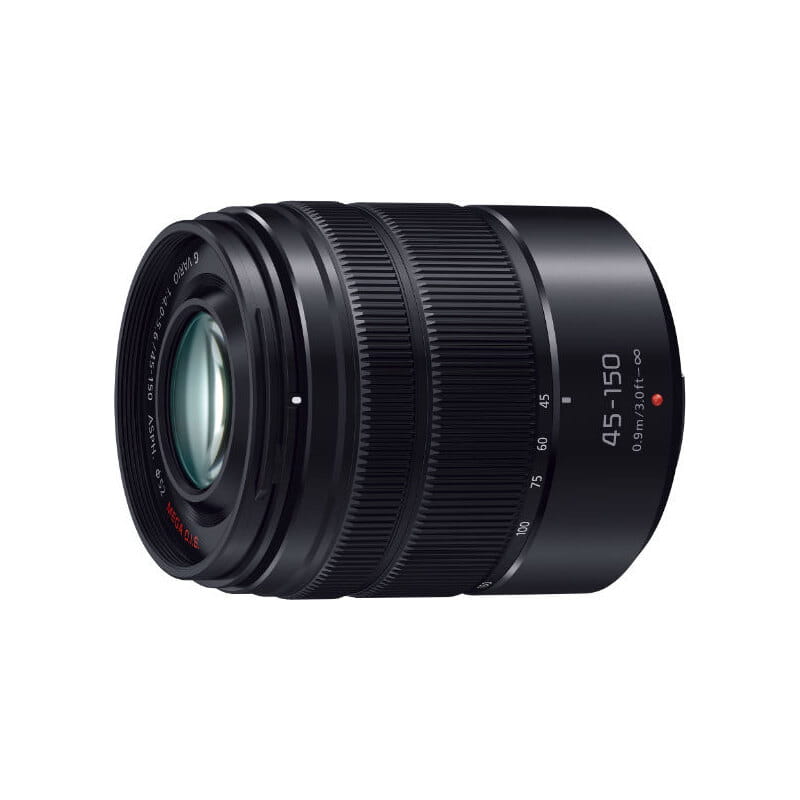 LUMIX G100D Wキット 標準ズームレンズ＋望遠ズームレンズ DC-G100DW