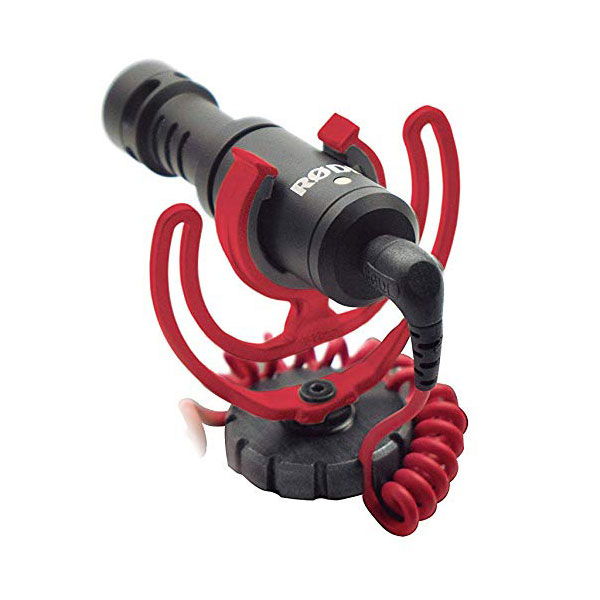VideoMicro