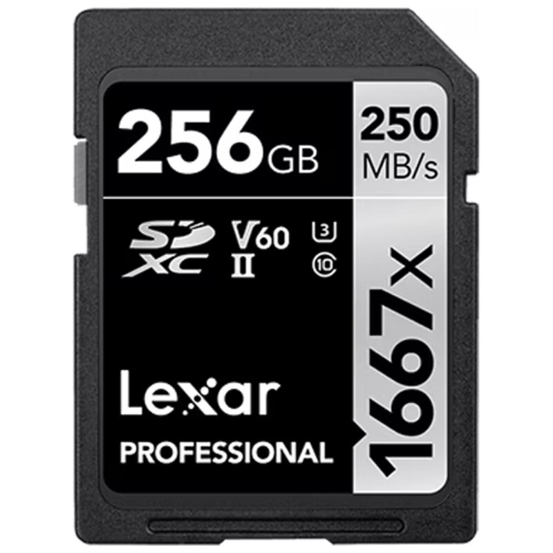 Professional 1667X SDXC UHS-II V60 256GB 並行輸入品 LSD256CB1667